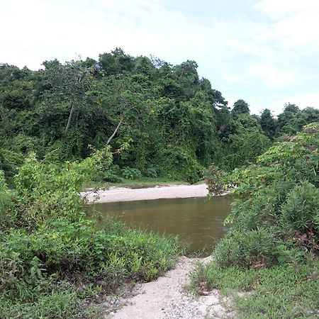 Cabana Wiwa Tayrona Los Naranjos Bagian luar foto
