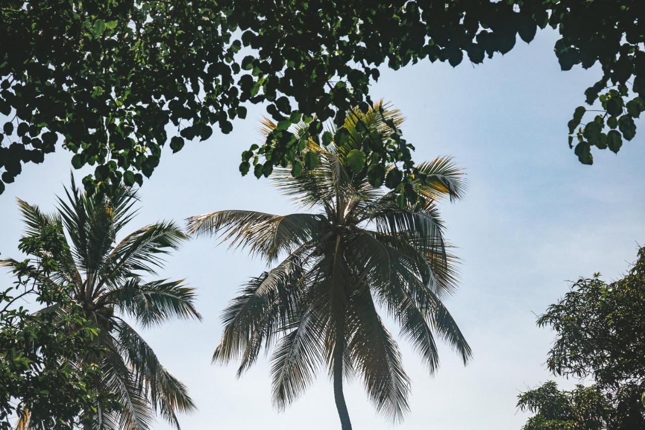 Cabana Wiwa Tayrona Los Naranjos Bagian luar foto