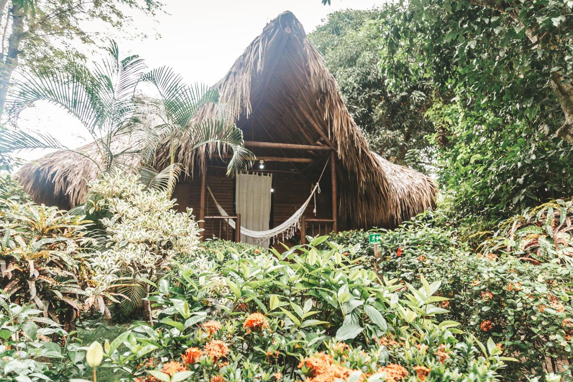 Cabana Wiwa Tayrona Los Naranjos Bagian luar foto